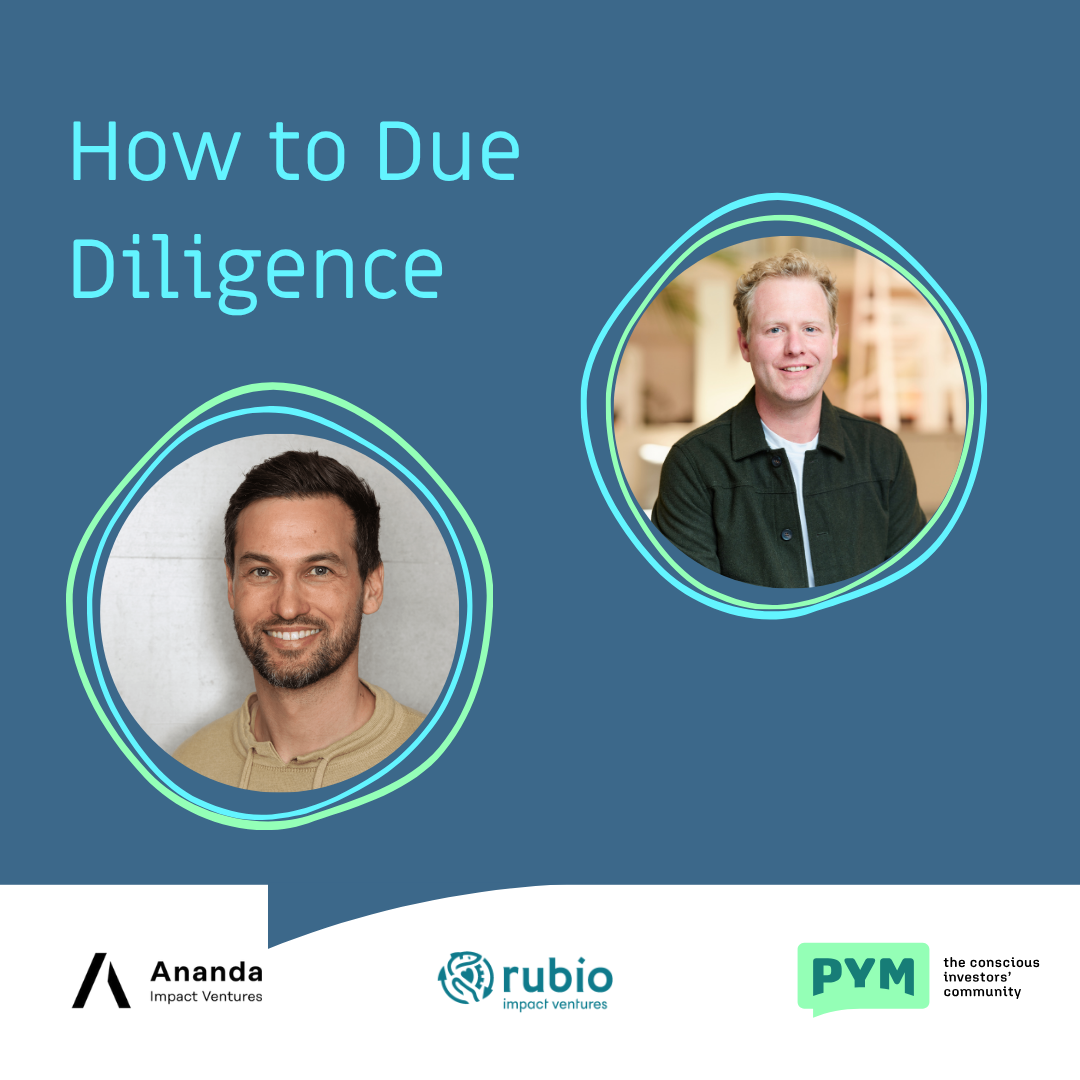 How to Due Diligence (2)