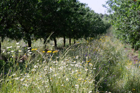 Wire group flowers